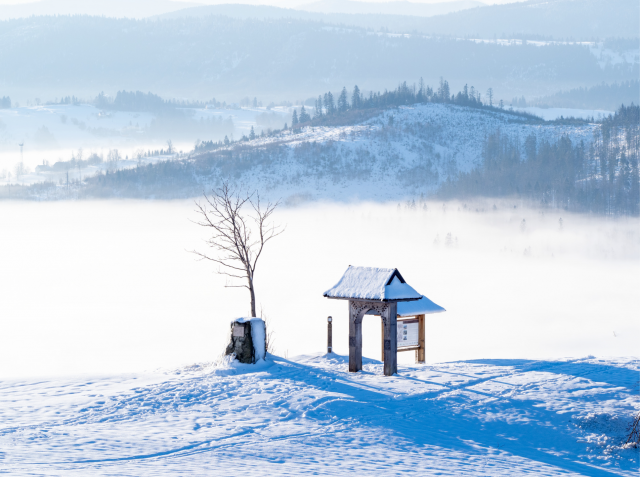 Beskid Śląski