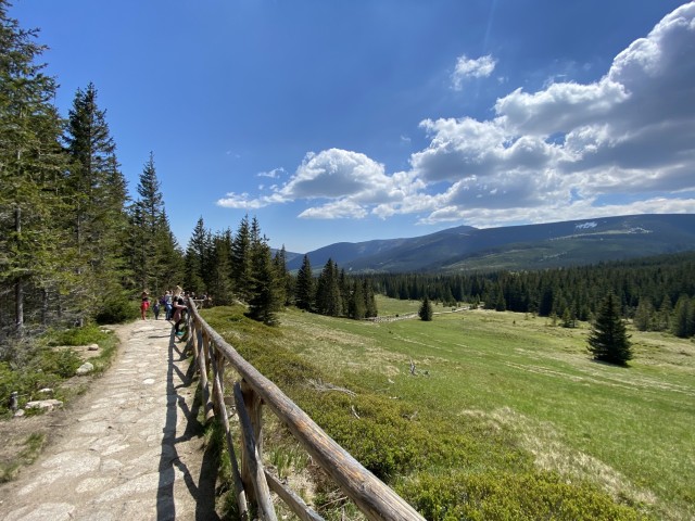 Karkonosze