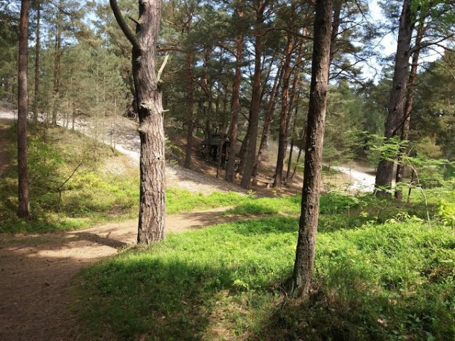 Rezerwat przyrody Widowo