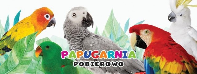 Papugarnia Pobierowo