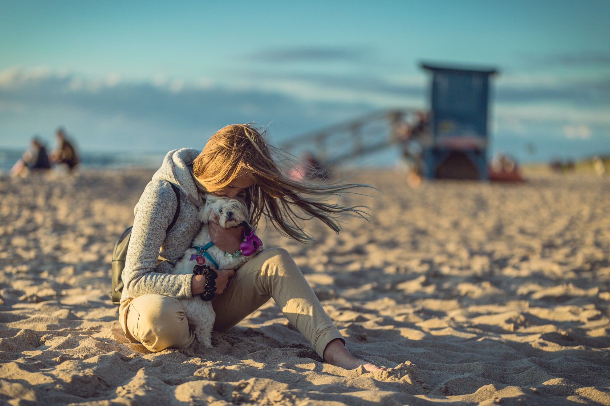 Wczasy z psem - Domki FAMILIJNE
