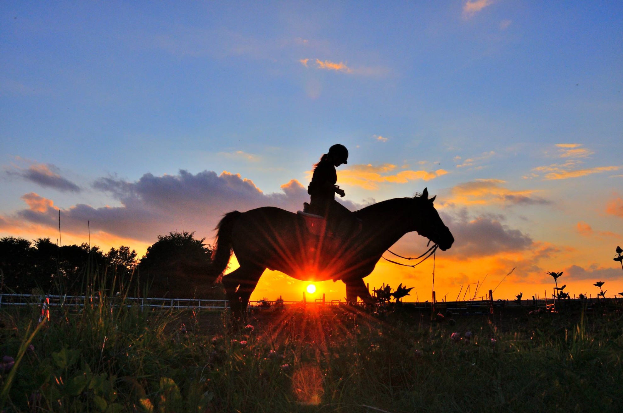 Majówka - Agropensjonat POD KOGUTEM
