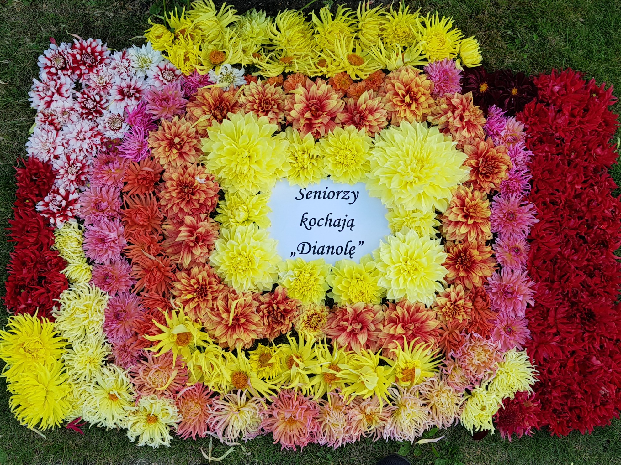 Wczasy dla seniorów - Ośrodek Wypoczynkowy DIANOLA