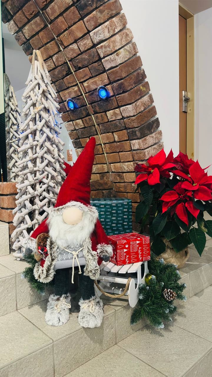 Boże Narodzenie - Pensjonat ŚNIEŻKA SPA***