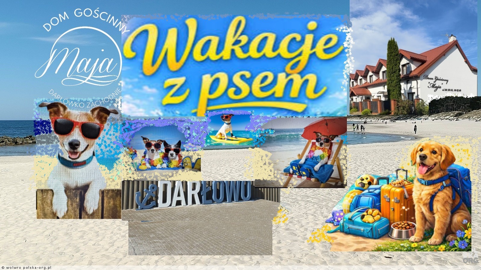 Wczasy z psem - Dom Gościnny MAJA