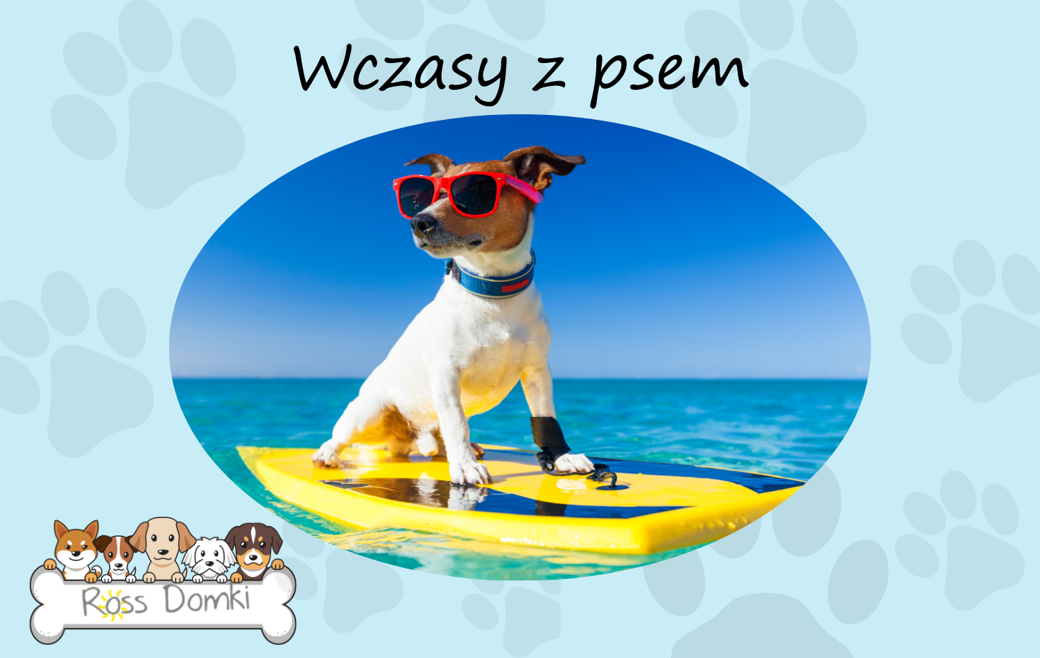 Wczasy z psem - ROSS-Domki