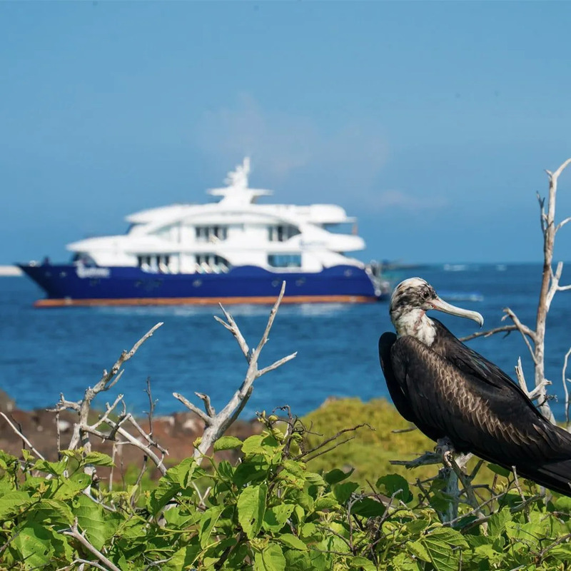 Golden Galapagos Cruises wycieczki z Carter