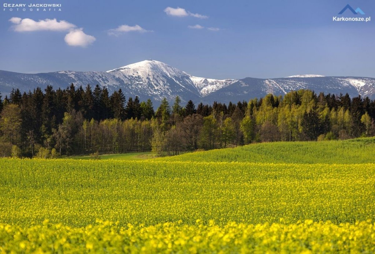 Karkonosze