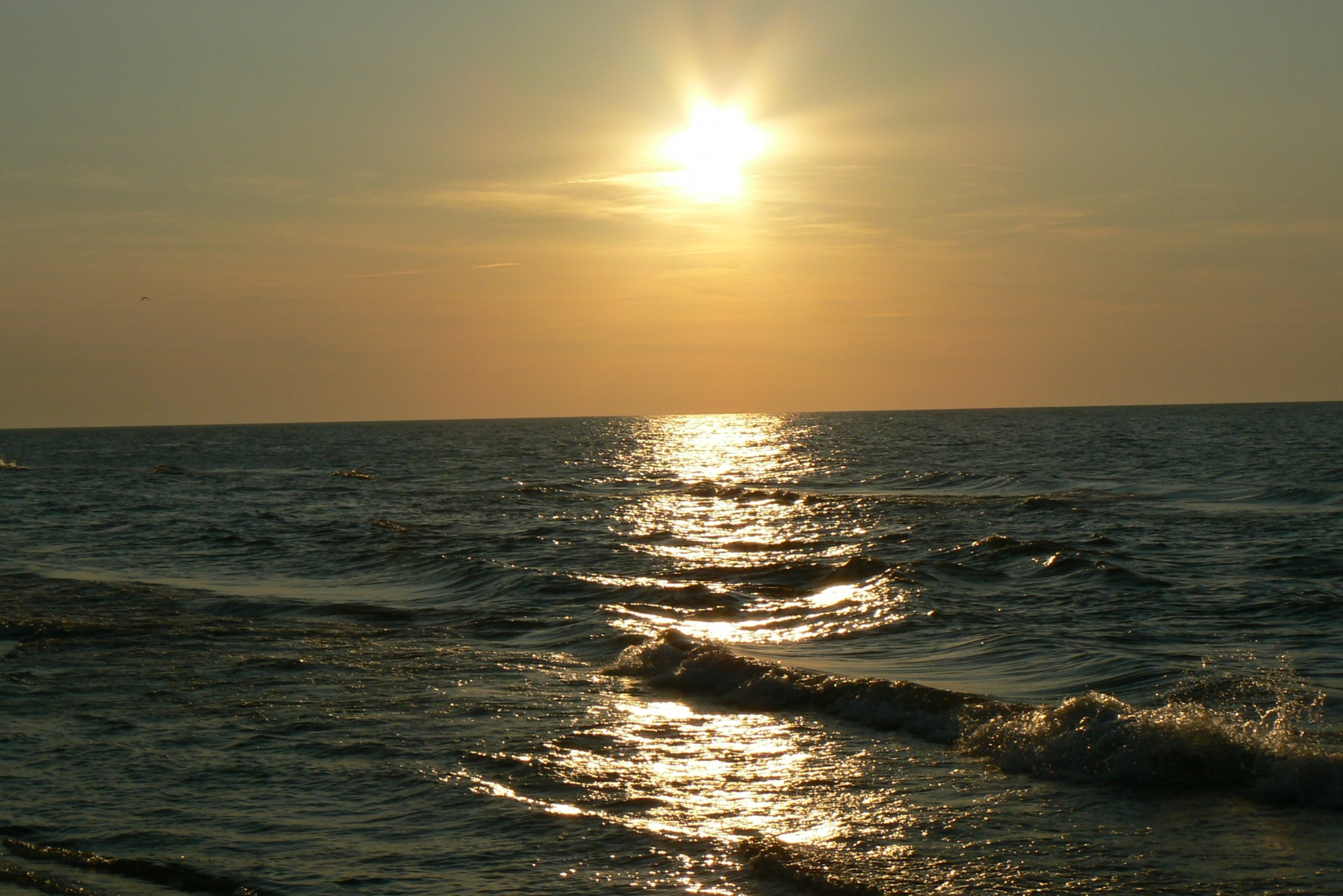 Boże Ciało - Willa Global