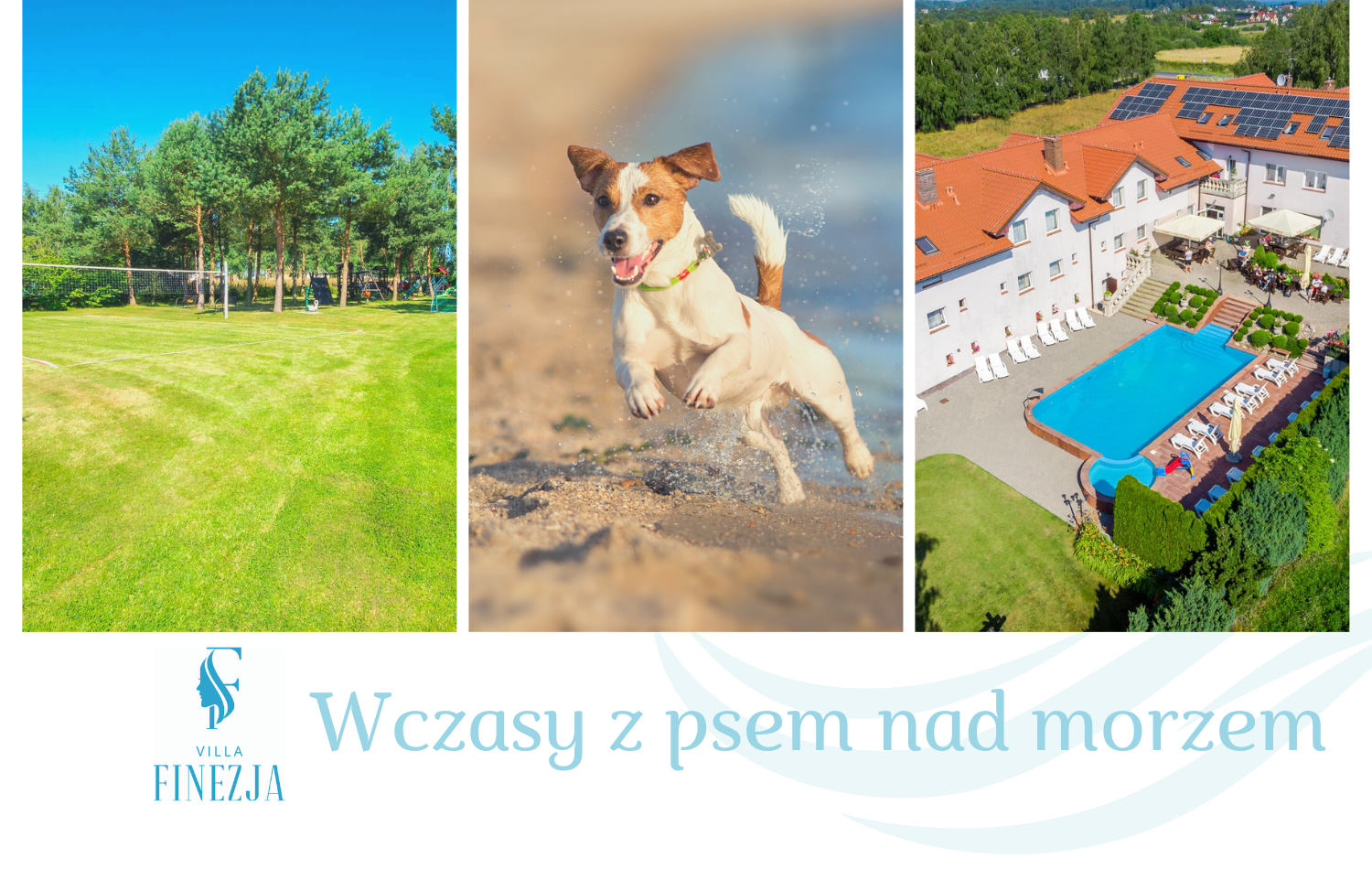 Wczasy z psem - Villa FINEZJA