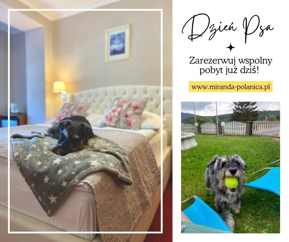 Wczasy z psem - PENSJONAT MIRANDA