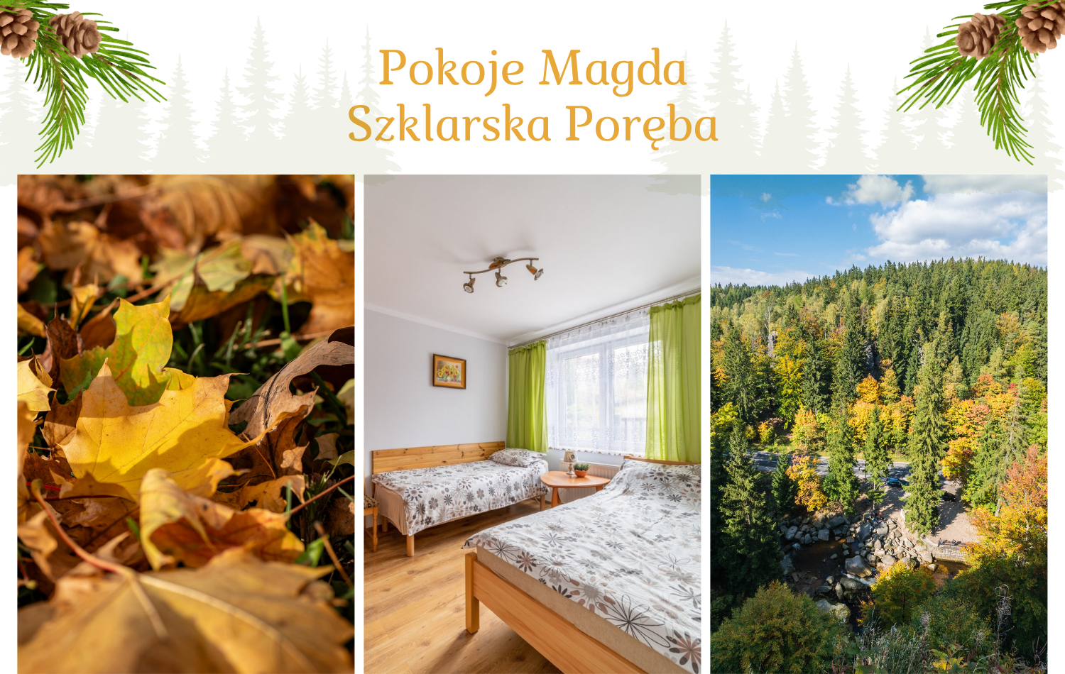 Jesień - Pokoje MAGDA