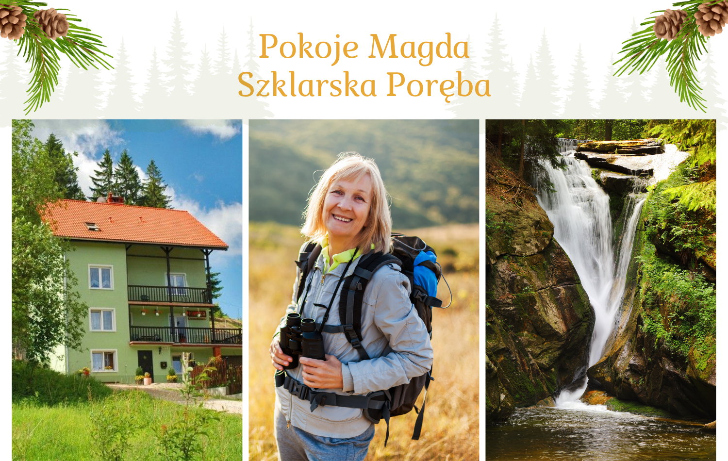 Oferta specjalna - Wczasy dla seniorów - Pokoje MAGDA