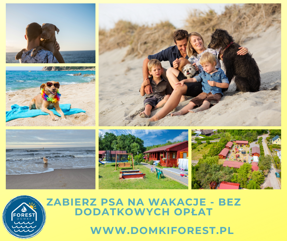 Wczasy z psem - Domki Letniskowe FOREST