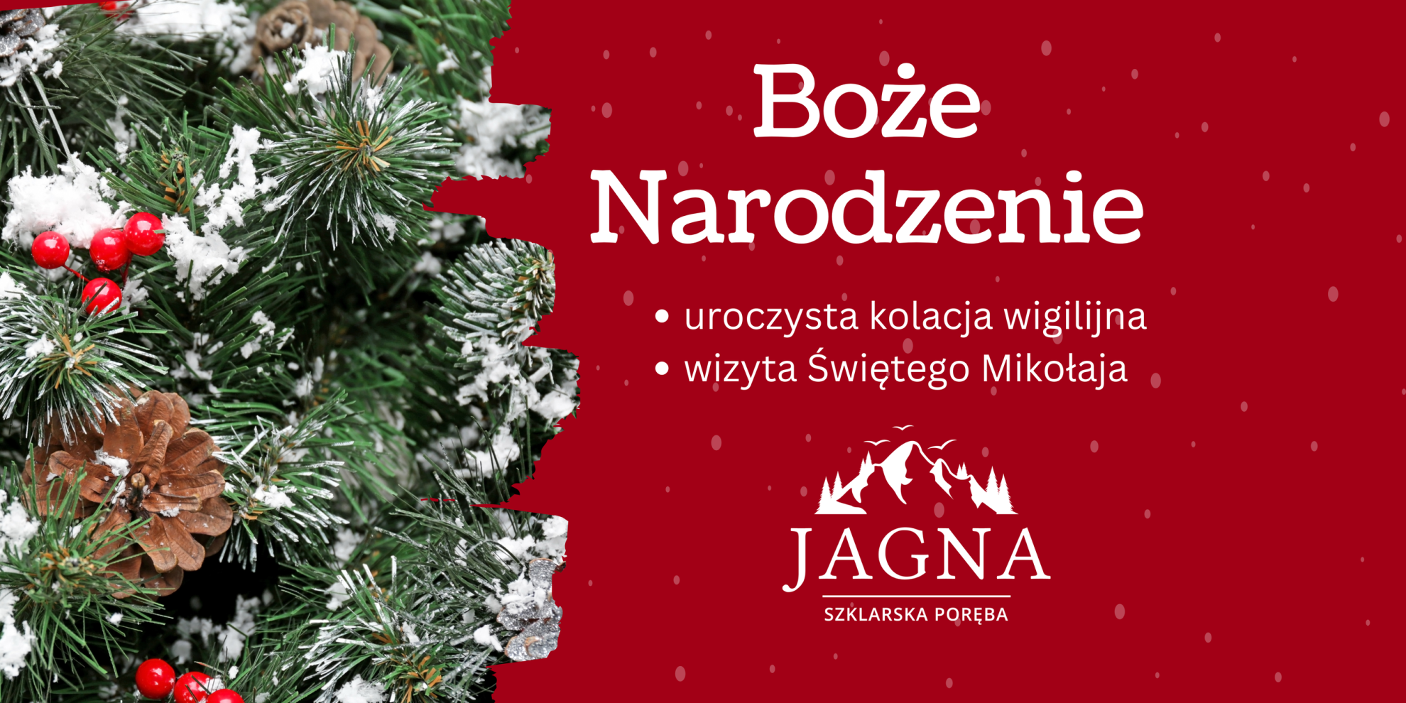 Boże Narodzenie - JAGNA