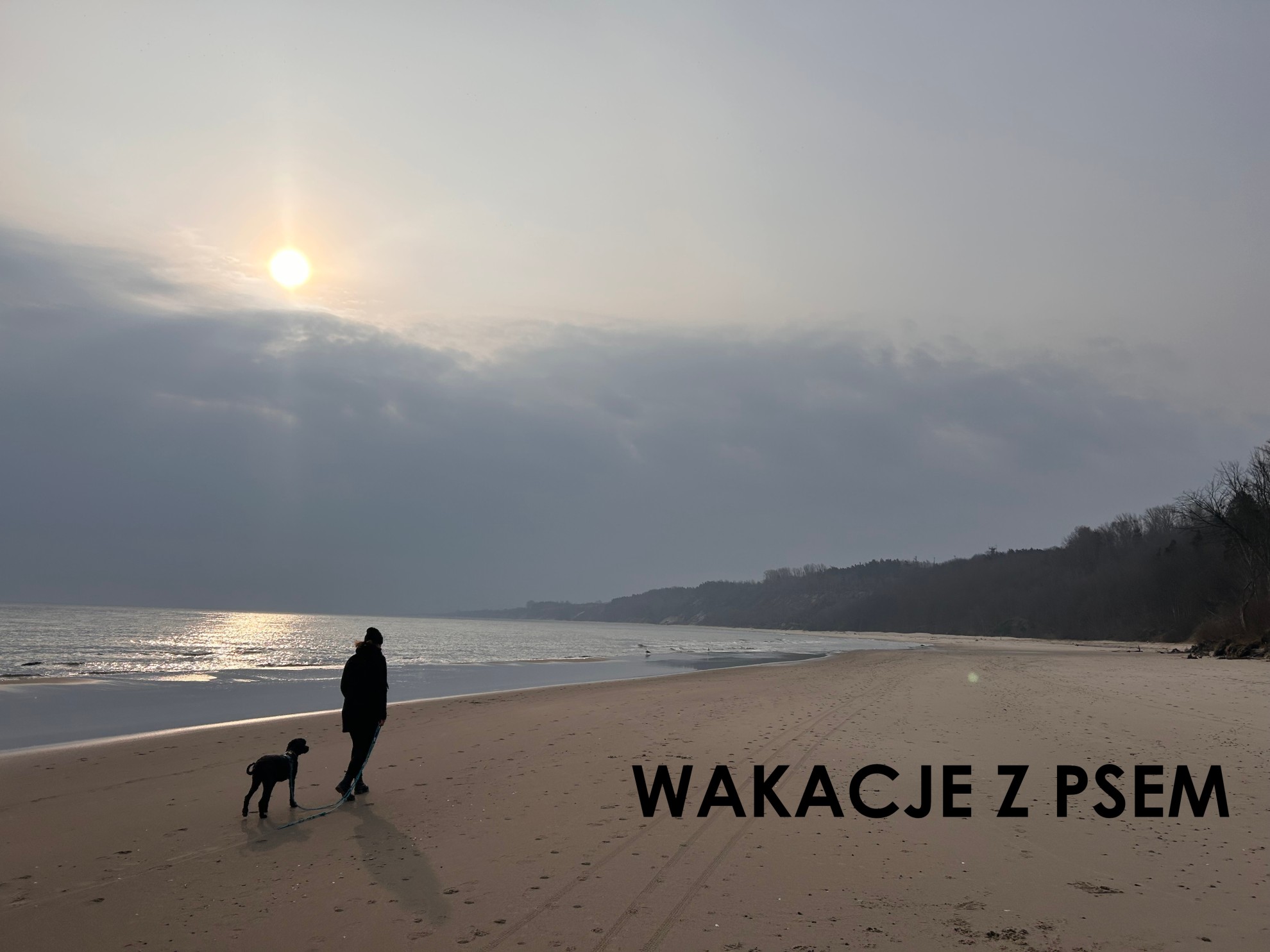 Wczasy z psem - Resort EDEN - Domki, Apartamenty i Pokoje