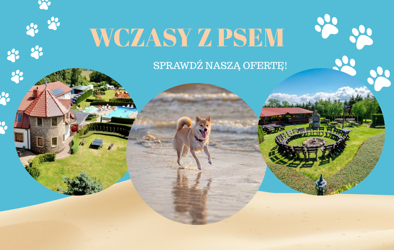 Wczasy z psem - ArraBurg
