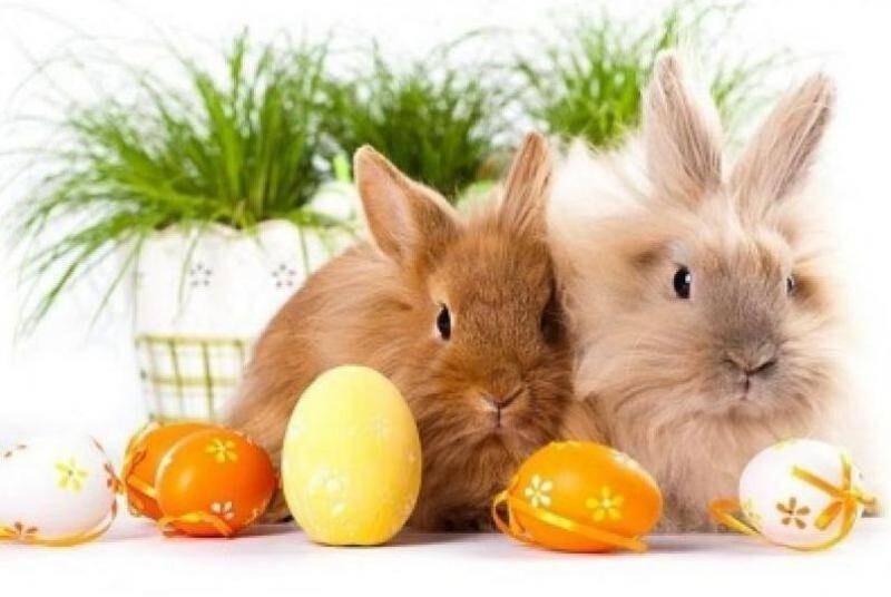 Wielkanoc - LAGUNA - Domki, Pokoje i Apartamenty