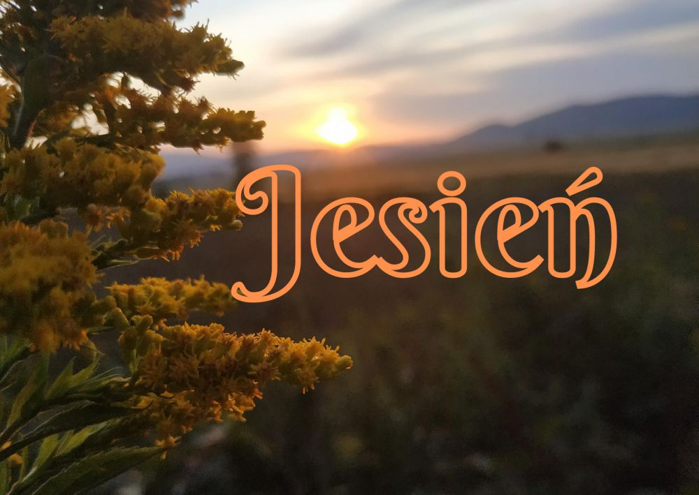 Jesień - Hotel *** POD SZRENICĄ